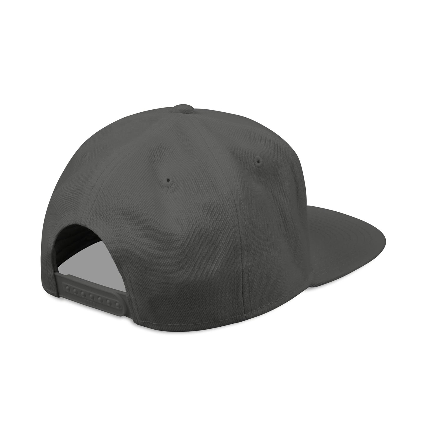 Down For It World Snap Back Hats
