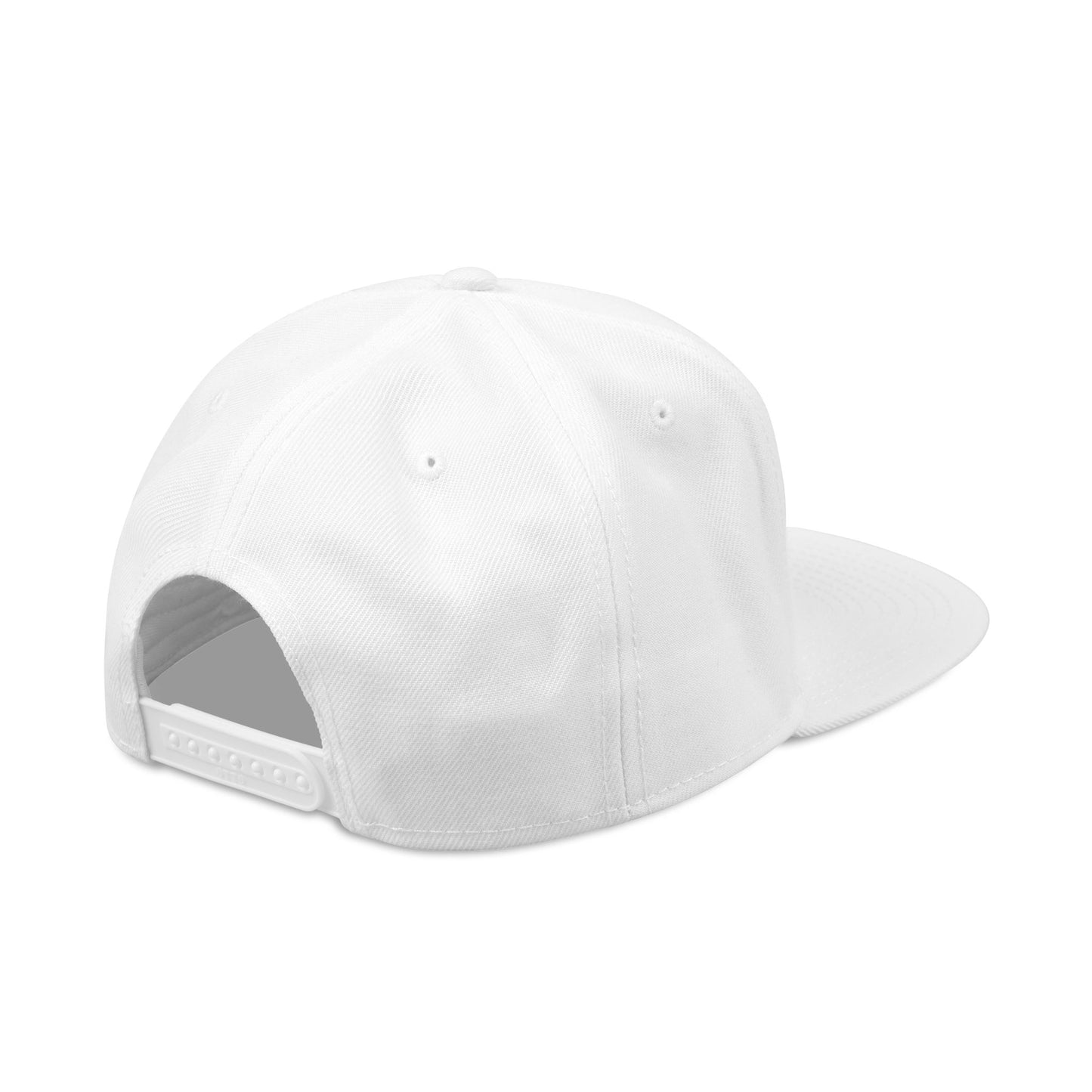 Down For It World Snap Back Hats