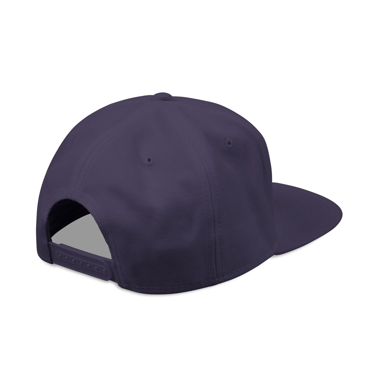 Down For It World Snap Back Hats