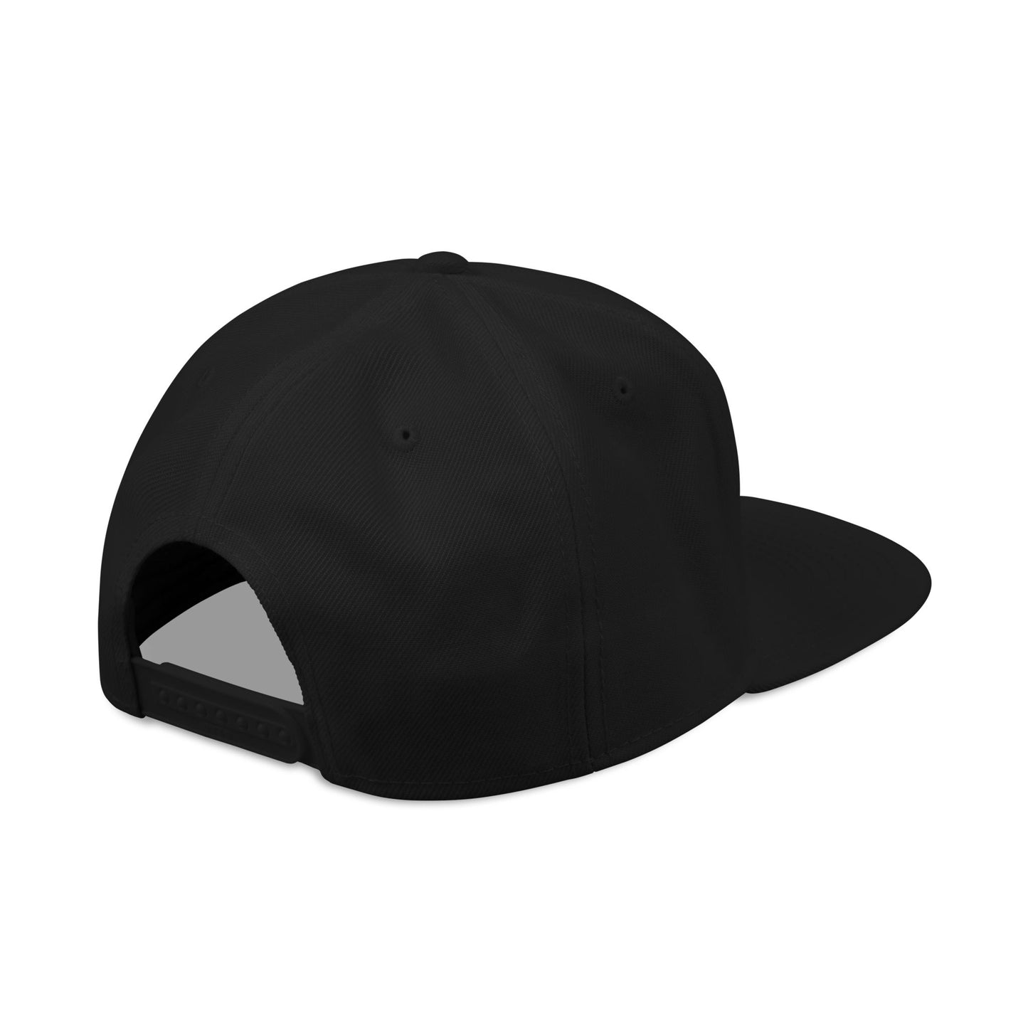 Down For It World Snap Back Hats